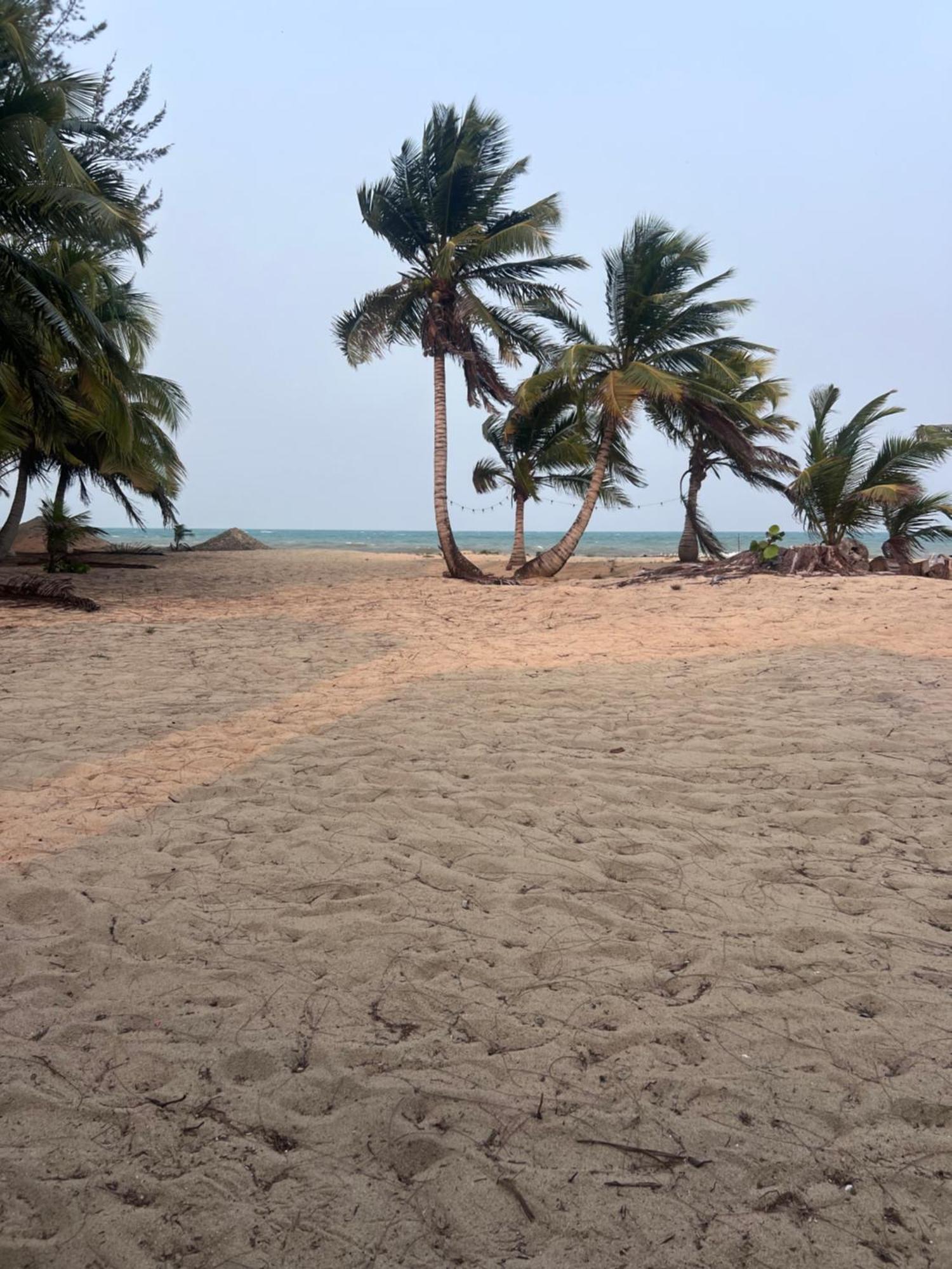 Sabal Beach Punta Gorda Dış mekan fotoğraf